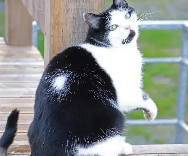 Le Fiege Cosy Et Confort Guest house