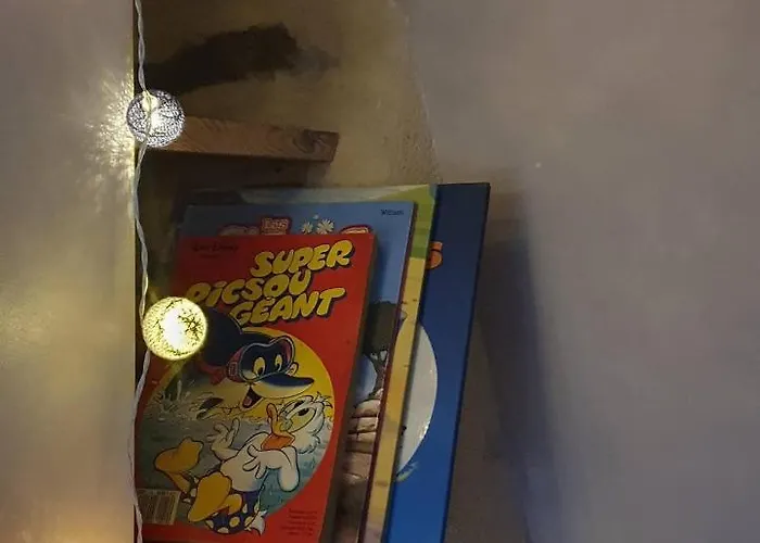 Le Fiege Cosy Et Confort *